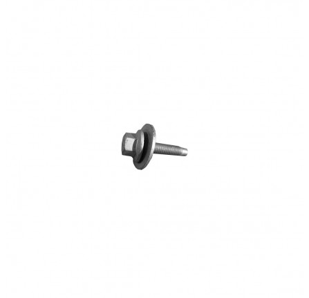 Genuine Screw and Washer M6 x 24mm