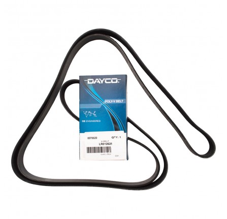 Belt V Ribbed Primary 5 Litre V8