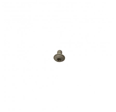 OEM Screw M6 x 10mm Torx