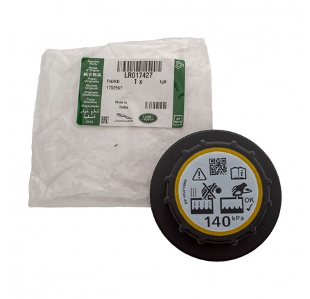 Cap for Overflow Container