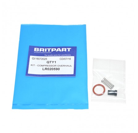 Delivery Valve Kit for Suspension Compressor