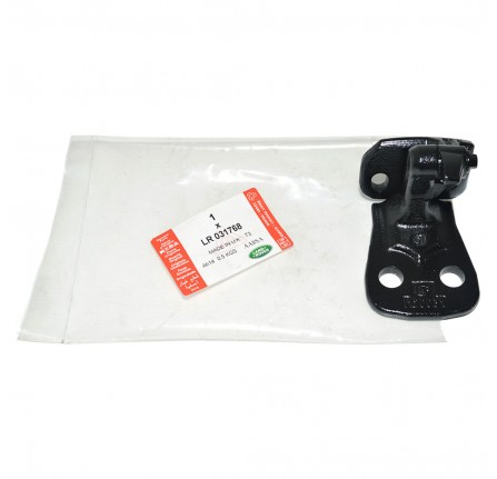 Front RH Lower Door Hinge