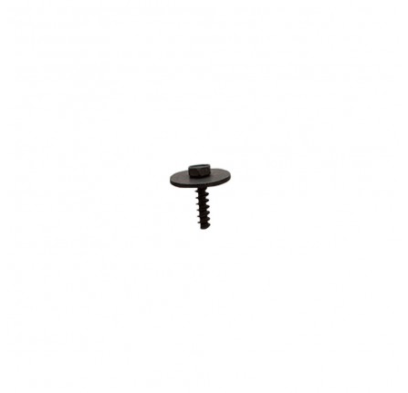Screw and Washer M5 x 20 mm