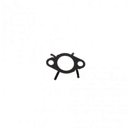 Egr Outlet Gasket