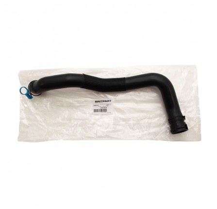 Top Radiator Hose 5.0L Ohc