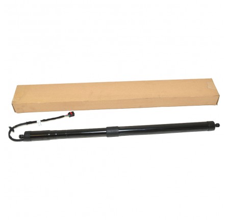 Tailgate Electric Strut