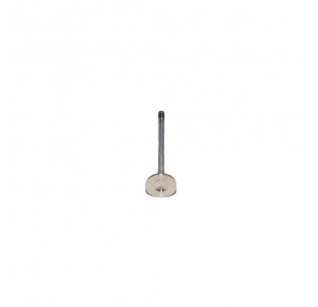 2.2 L Dohc Exhaust Valve
