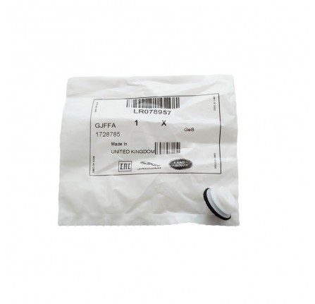 OEM Clip for External Plastic Moulding