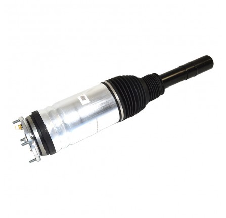 Bwi Front Suspension Strut LH No Ace