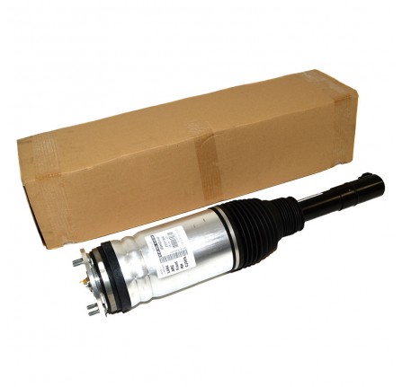 Front Suspension Strut RH with Ace