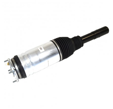 Bwi Front Suspension Strut RH Front