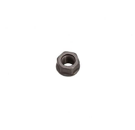 OEM Steel Wheel Nut