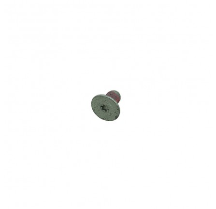 OEM Bolt M8 x 12mm Torx Head