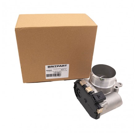 Throttle Body and Motor 2 Litre Diesel