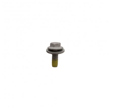 OEM Bolt M10 x 28 mm