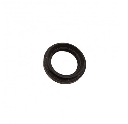Driveshaft Oil Seal in Differential