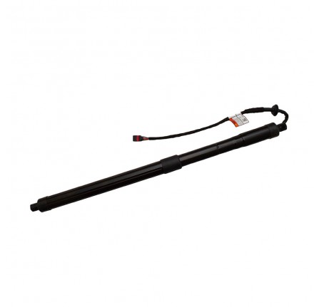 Upper Tailgate Strut Hands Free
