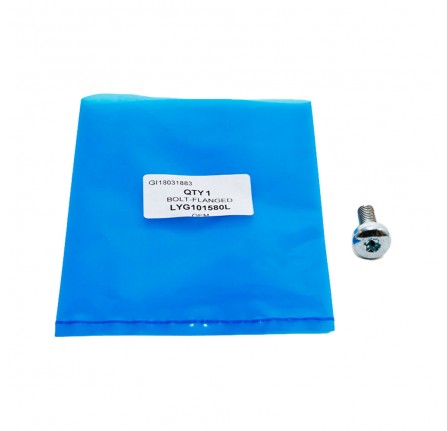 Bolt for M47 Oil Filter