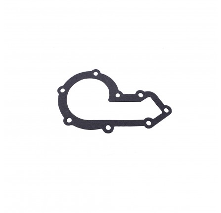 Water Pump Gasket 300 TDI