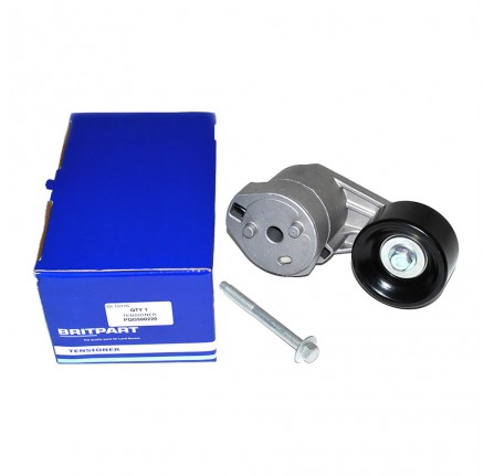 Tensioner for Secondary Belt 4.4 Petrol