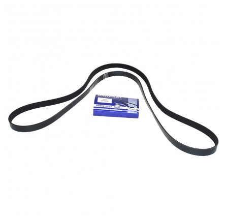 4.4 V8 EFI Auxiliary Belt