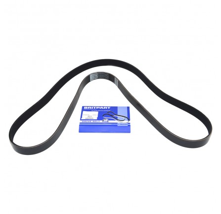 Primary Drive Belt with Ace 3.6 V8 32V