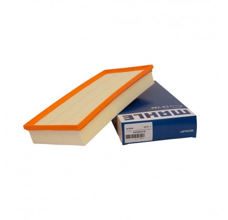 OEM Air Filter 4.4 Petrol & 3.6 V8 Diesel