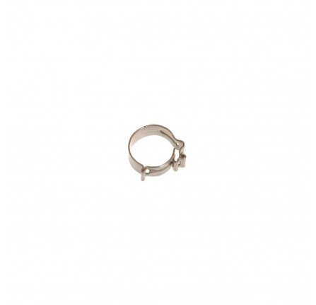 Genuine Hose Clip Expansion Tank Pipes D2 and Also Other Applications
