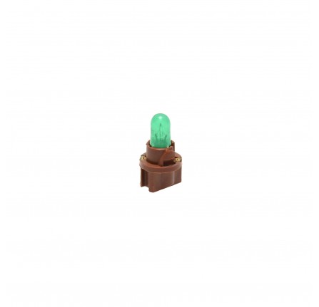 Bulb and Brown Holder