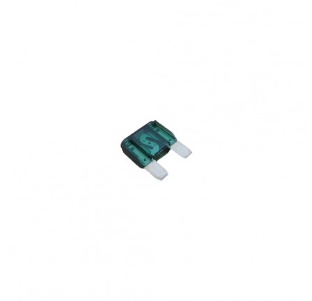 Fuse 30 Amp
