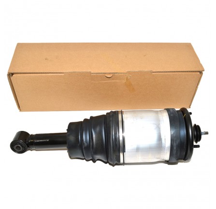 Rear Damper Assembley Less Stability Control Less Ace