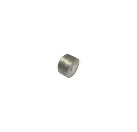 Genuine Core Plug 1 Inch dia Threaded