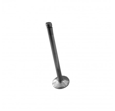 Exhaust Valve VM Diesel