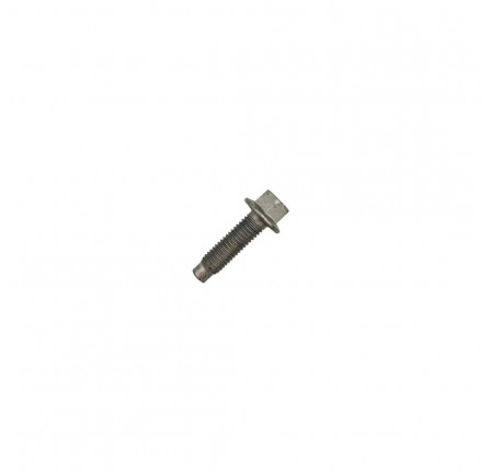 Genuine M8 x 25 mm Screw