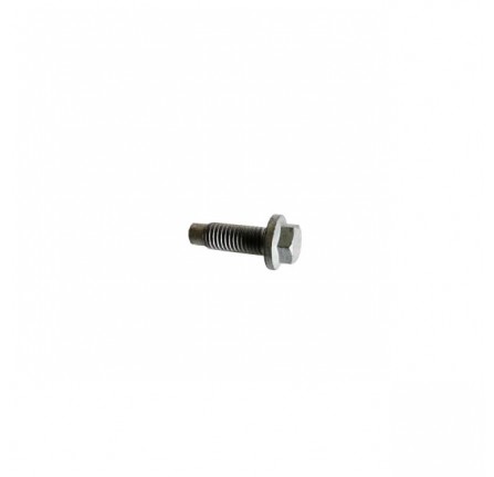 Genuine Bolt M10 x 25mm Various Applications