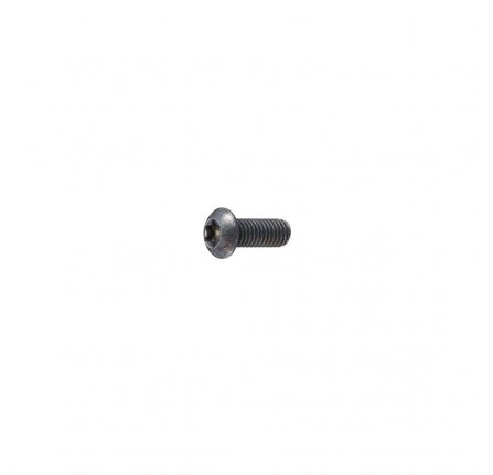 Genuine Screw M6 x 16mm Torx