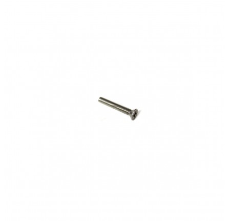Genuine Screw Mounting Door Mirrors on RRC