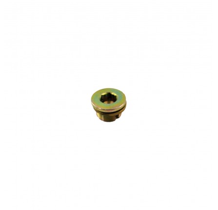 Reservior Drain Plug