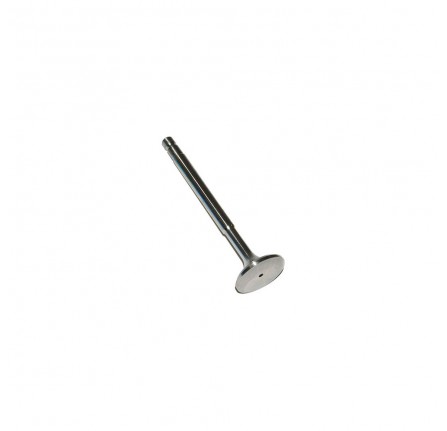 Genuine Exhaust Valve 2.6 Litre