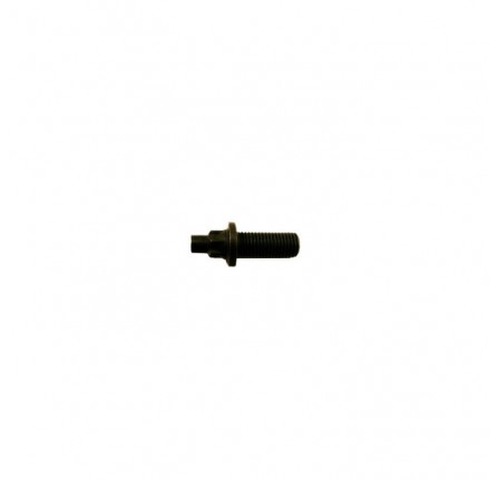Bolt Chainwheel to Camshaft