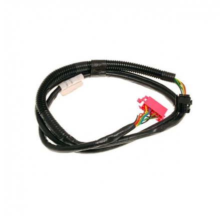 Cd Data Lead from 2A000001