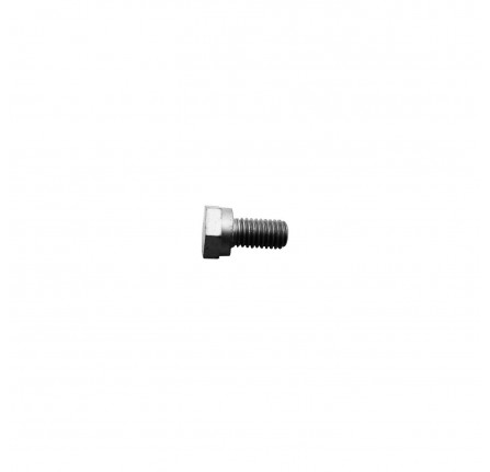 Brake Shield Retaining Bolt