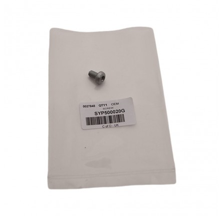 OEM Screw - M6 x 10mm Torx Head