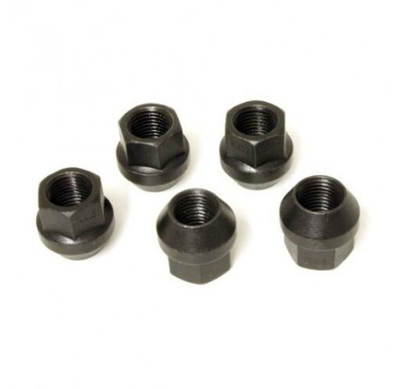 Black Wheel Nut -terr 18 x 8 Steel Wheel for DISCO3/DISCO4