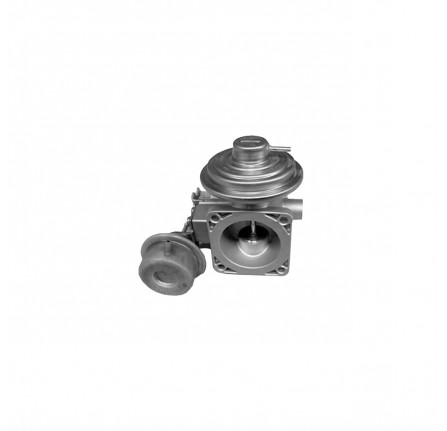 Egr Valve Discovery 2