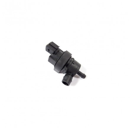 Valve Fuel Vapour 4.4 V8