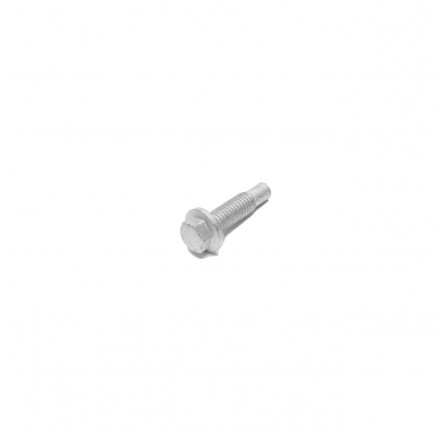 Screw M12 x 25mm