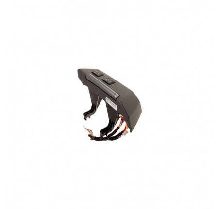 Switch Manual Speed Control and Horn on Steering Wheel LH