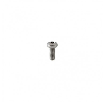 Bolt M6 x 12mm Torx Head