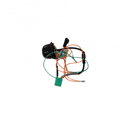Switch Assembley for Incar Entertainment Philips C42